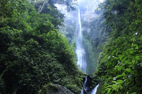 Eksplorasi Sumber Air Terjun Rahasia di Hutan Hala, Sulawesi Selatan